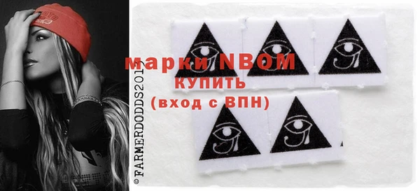 гашик Бородино