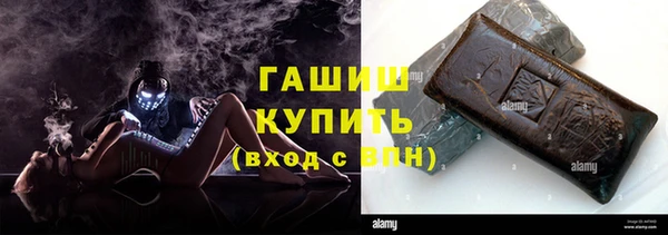 гашик Бородино