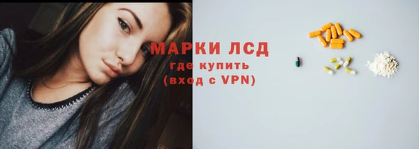 гашик Бородино