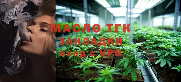 гашик Бородино