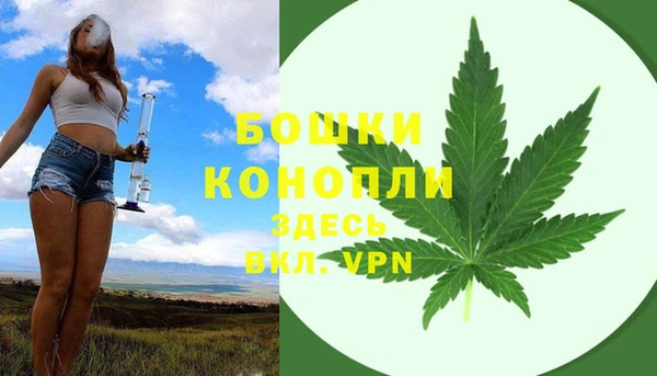 гашик Бородино
