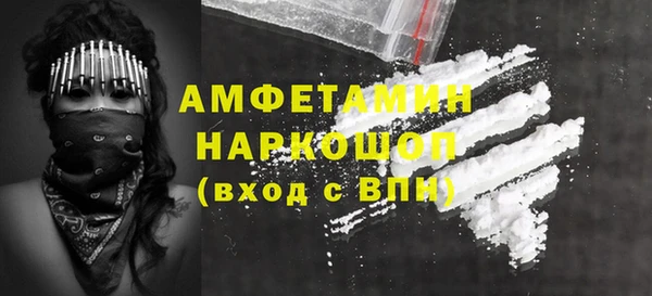 гашик Бородино